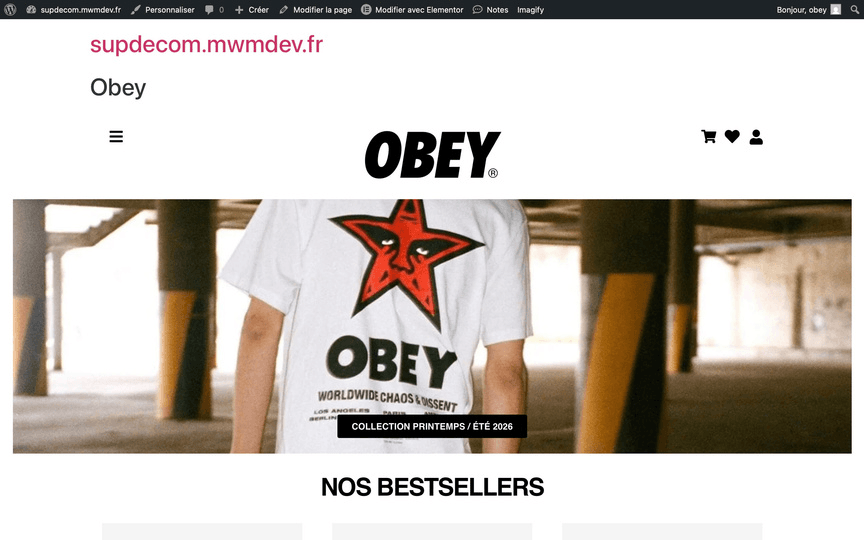 Page d'accueil du site Obey designé sous WordPress