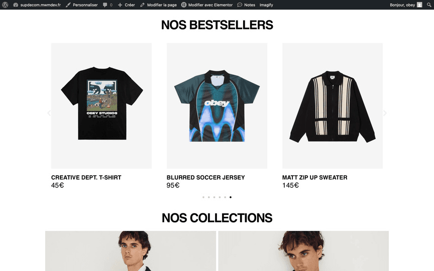Page collections du site Obey